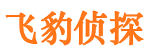 黄岛市婚姻出轨调查